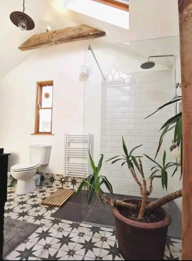 The Carton Store Loft Apt Apartment Cork Ngoại thất bức ảnh